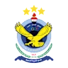 القوة الجوية